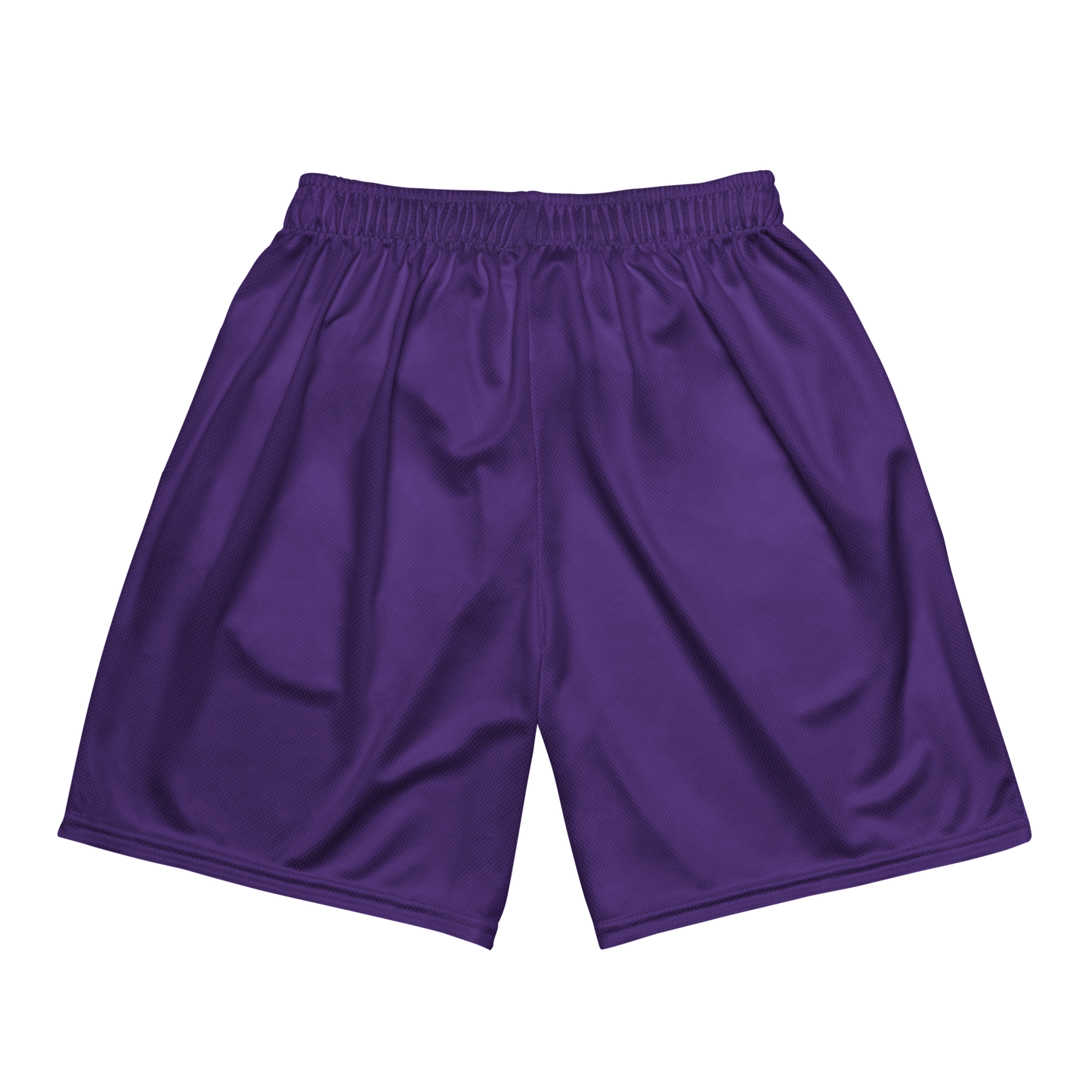Mikaylah Williams "Home" Mesh Shorts