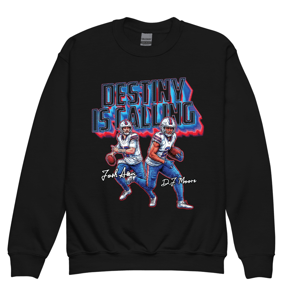 Destiny is Calling Destiny is Calling Youth Sweatshirt Black