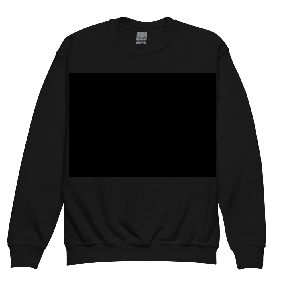 Youth Sweatshirt