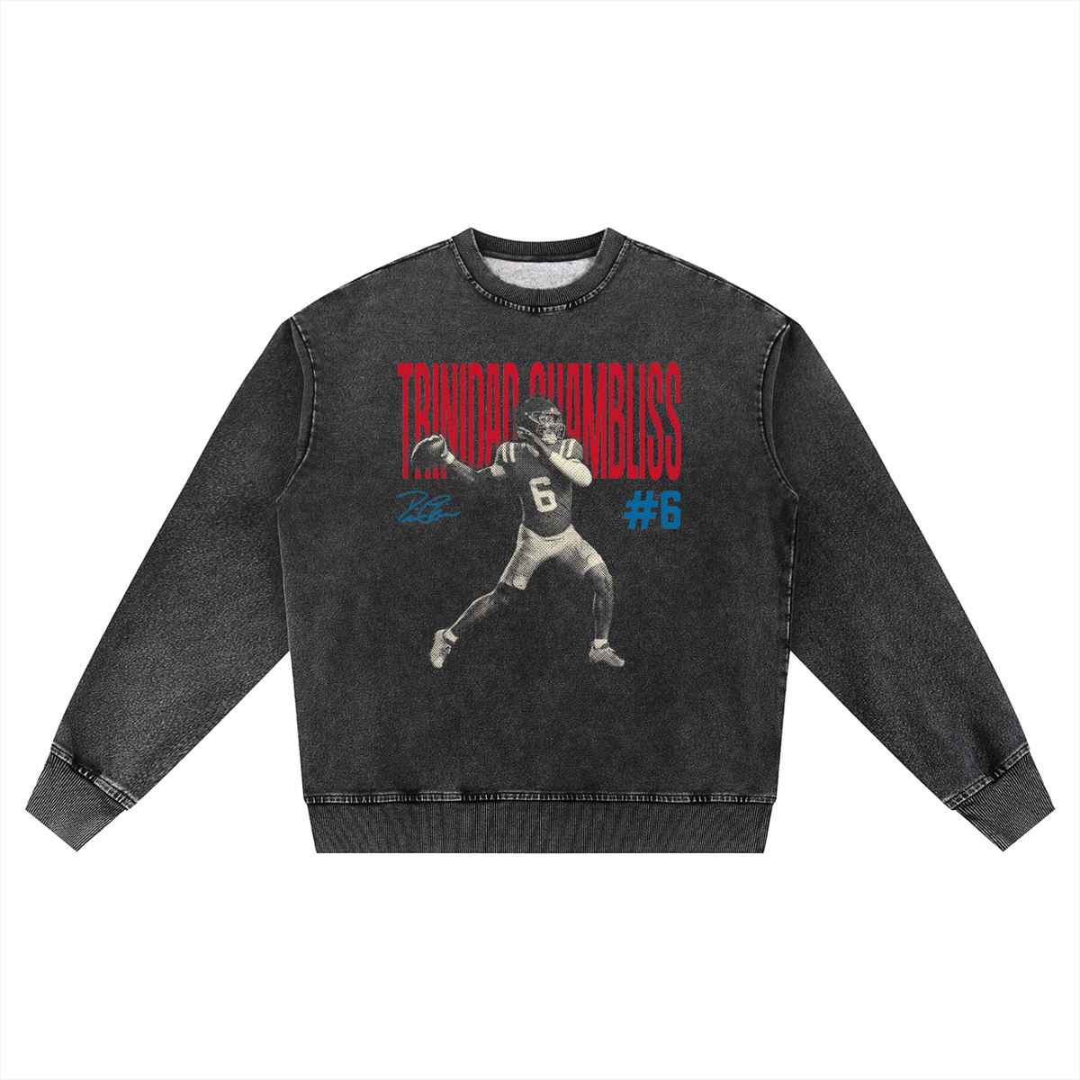 Trinidad Chambliss Halftone Oversized Washed Sweatshirt