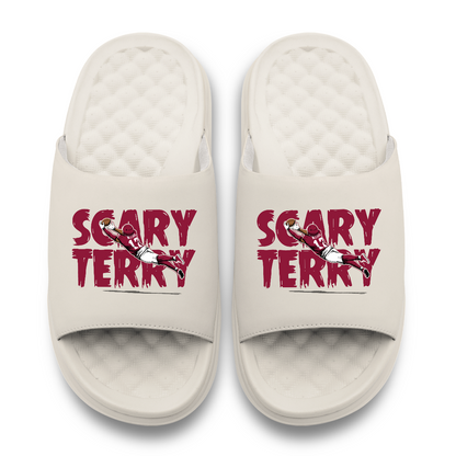 Terry McLaurin ScaryTerry Slides