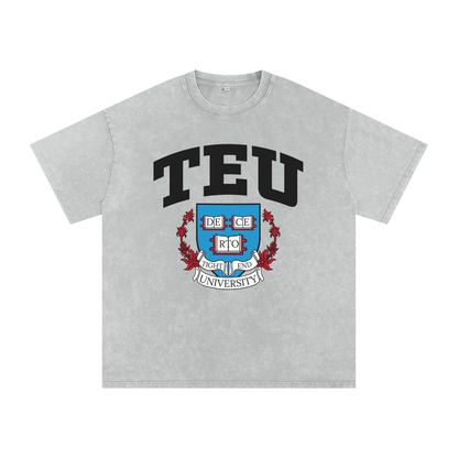 Snow Washed Oversized Cotton T-Shirt