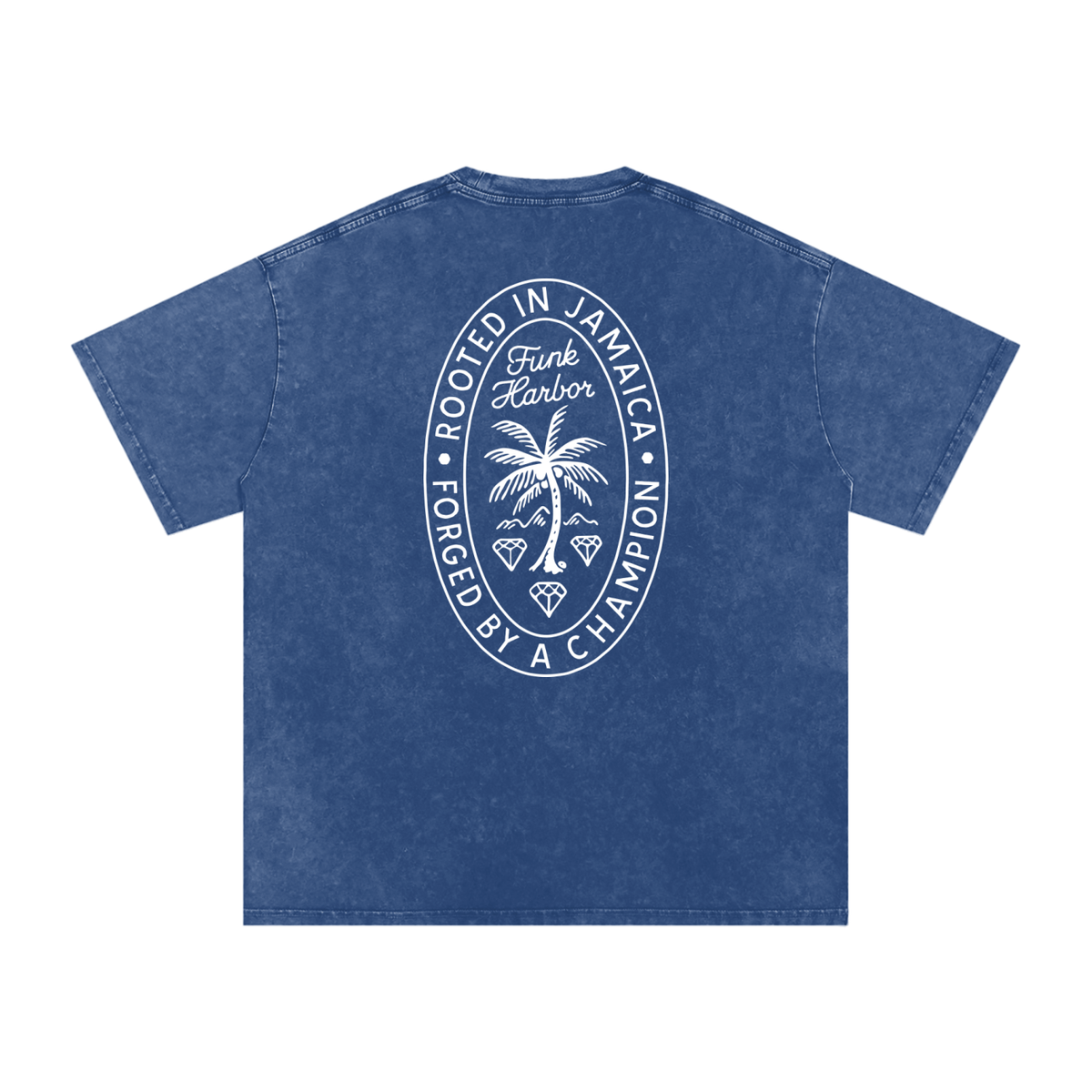 Funk Harbor Bring the Funk Boxy Washed T-shirt