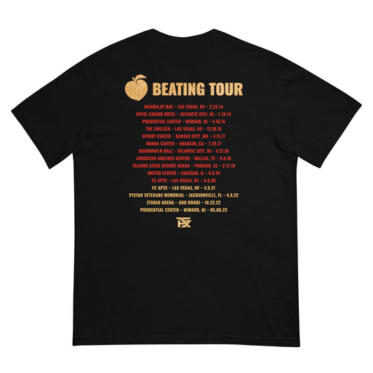 Aljamain Sterling "World Tour" T-shirt