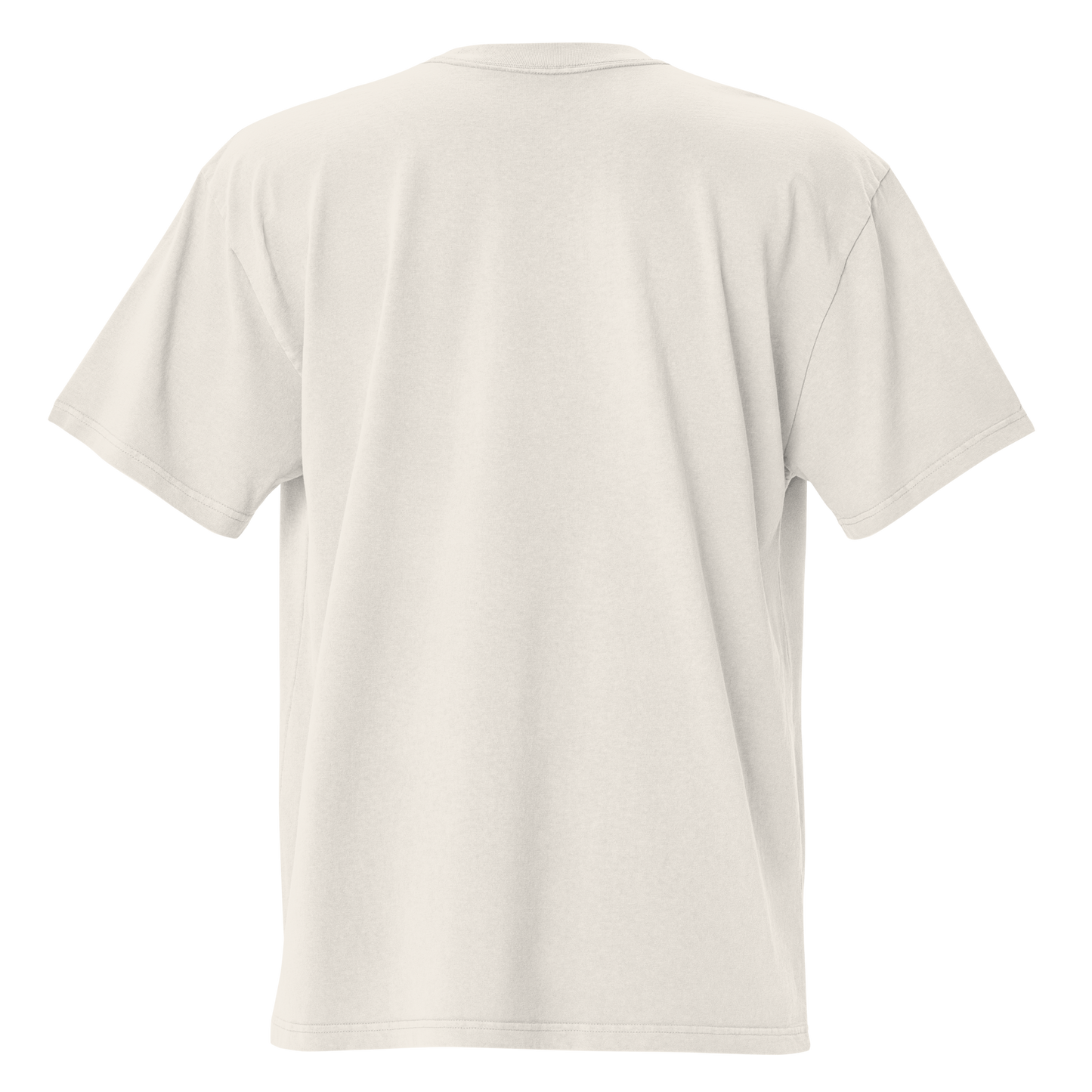Riley Leonard “Vintage” Oversized T-shirt Faded White