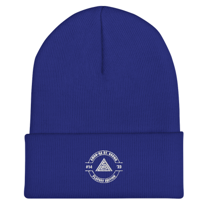 Amon-Ra St. Brown "2023 Playoff Edition" Beanie